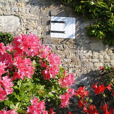 Manoir De La Pataudiere B&B Villers-Canivet Exteriér fotografie