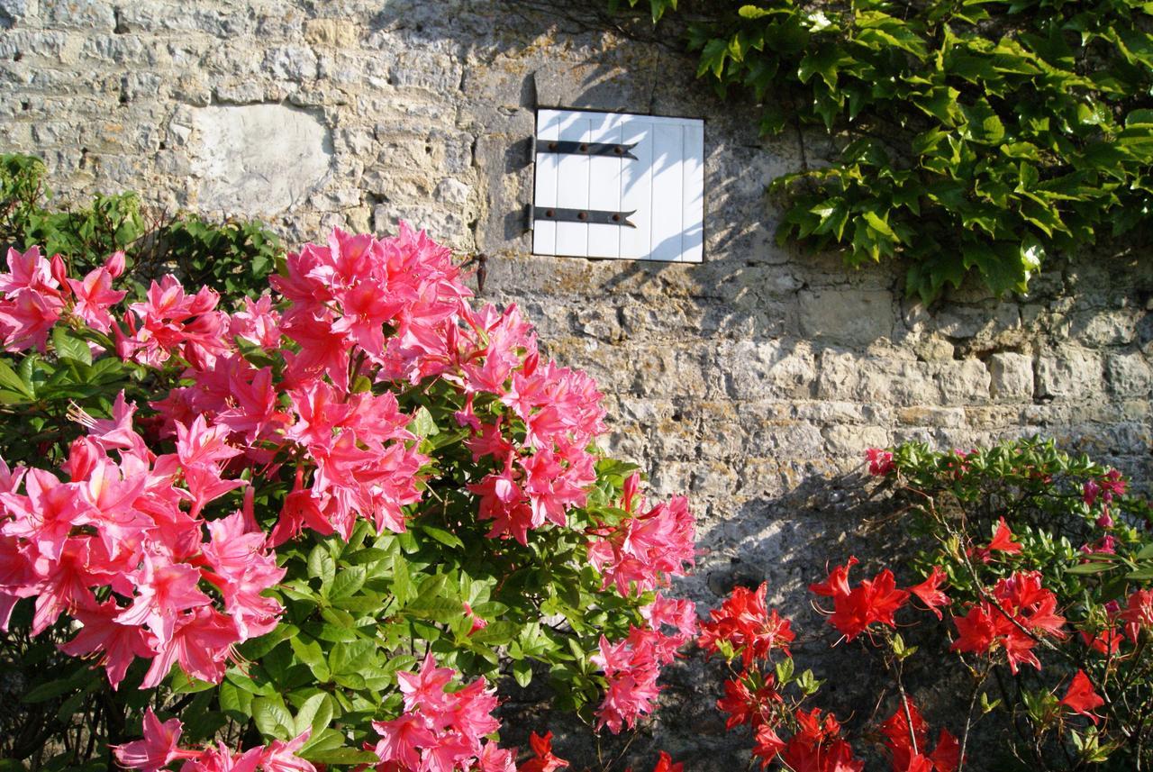 Manoir De La Pataudiere B&B Villers-Canivet Exteriér fotografie